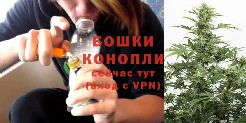 darknet как зайти  Бийск  Каннабис OG Kush 